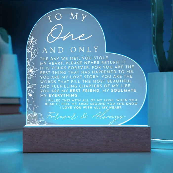 Meaningful Gift For Her My One And Only Heart Shaped Acrylic Plaque Perfect Christmas Gift Valentines Day Birthday or Anniversary Present ShineOn Fulfillment Necklaces