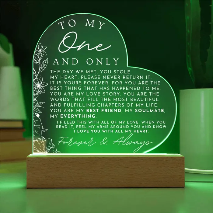 Meaningful Gift For Her My One And Only Heart Shaped Acrylic Plaque Perfect Christmas Gift Valentines Day Birthday or Anniversary Present ShineOn Fulfillment Necklaces