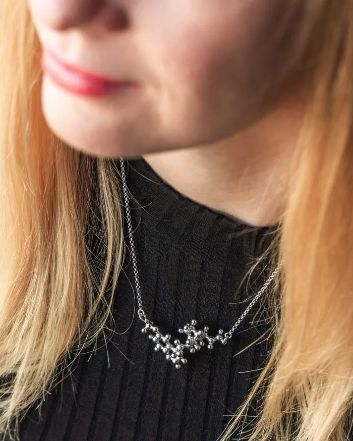 quinine necklace silver sciencejewelry1824 Necklaces
